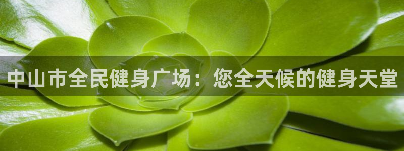 尊龙集团官网
