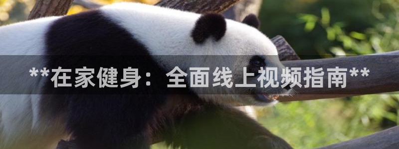 尊龙人生就是博登录准认来就送38：**在家健身：全面线上