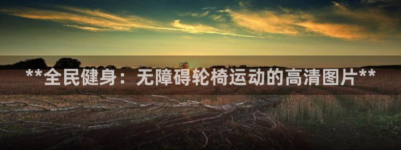 尊龙凯时人生就是搏官方网站：**全民健身：无障碍轮椅运动