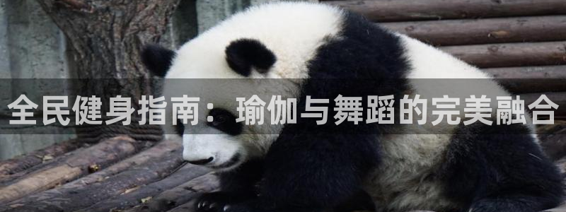 尊龙网站下分慢：全民健身指南：瑜伽与舞蹈的完美融合