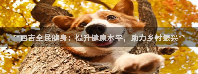 尊龙旗舰厅app：**西吉全民健身：提升健康水平，助力乡