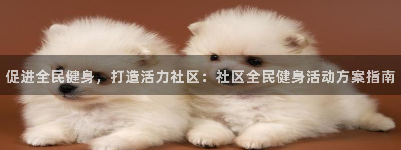 尊龙电子：促进全民健身，打造活力社区：社区全民健身活动方
