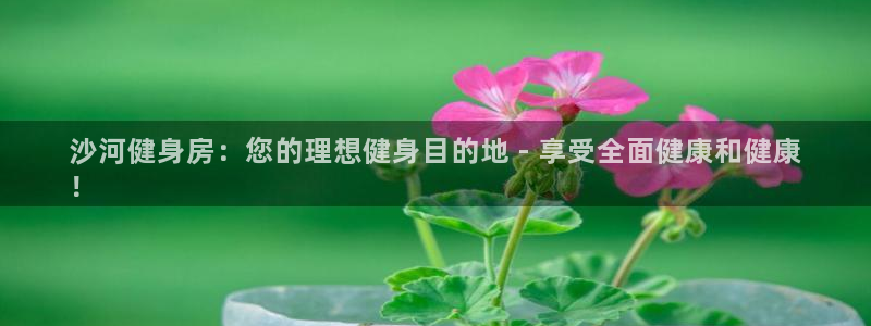 尊龙d88现金 旧版本可靠送38元：沙河健身房：您的理想