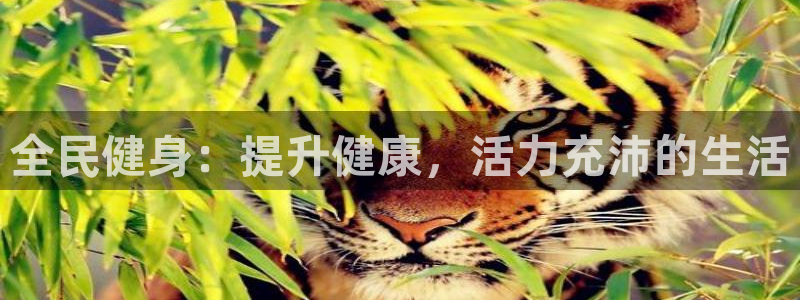 尊龙手机端下载：全民健身：提升健康，活力充沛的生活