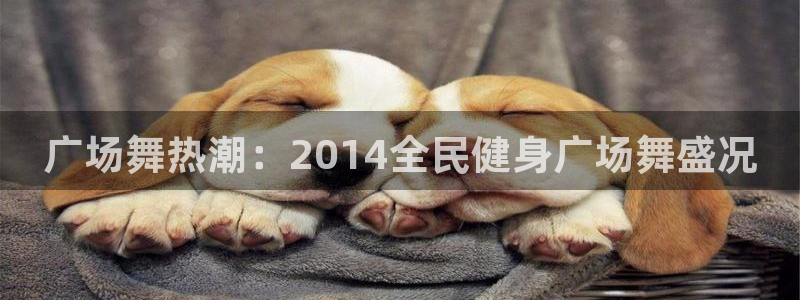 尊龙官网免费下载安装：广场舞热潮：2014全民健身广场舞