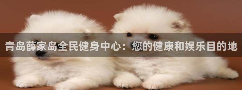 国际凯时ag优质运营商：青岛薛家岛全民健身中心：您的健康