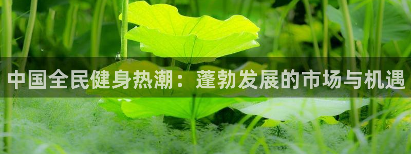 尊龙人生就是博登录：中国全民健身热潮：蓬勃发展的市场与机