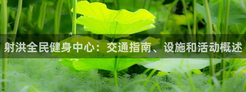尊龙凯时登入首页：射洪全民健身中心：交通指南、设施和活动