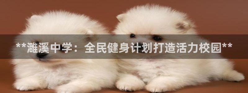 尊龙凯时客服：**濉溪中学：全民健身计划打造活力校园**
