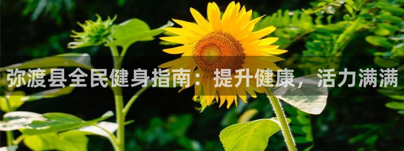 尊龙最近一次露面：弥渡县全民健身指南：提升健康，活力满满
