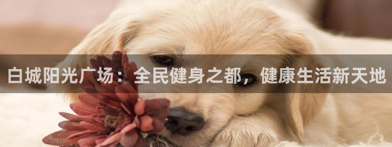 尊龙凯时新闻：白城阳光广场：全民健身之都，健康生活新天地