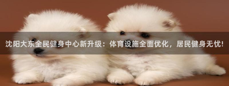 尊龙官网免费下载安装