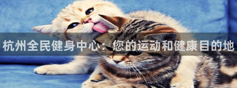 尊龙目前照片：杭州全民健身中心：您的运动和健康目的地
