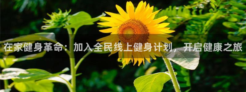尊龙人生就是博送38：在家健身革命：加入全民线上健身计划