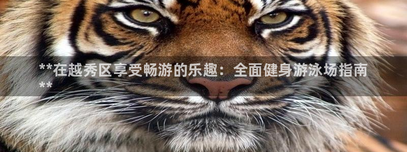 尊龙凯时不朽情缘：**在越秀区享受畅游的乐趣：全面健身游