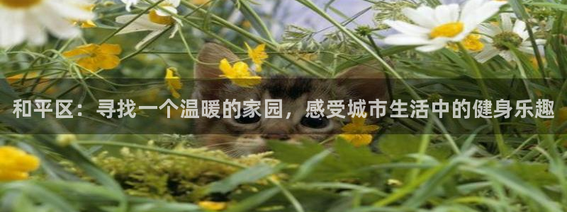 尊龙d88现金关注ag发财网