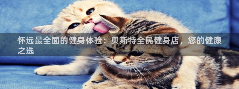 尊龙凯时和九游会哪个平台好一点：怀远最全面的健身体验：贝斯特