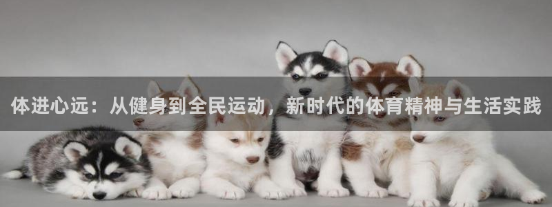 凯时k66官方发布