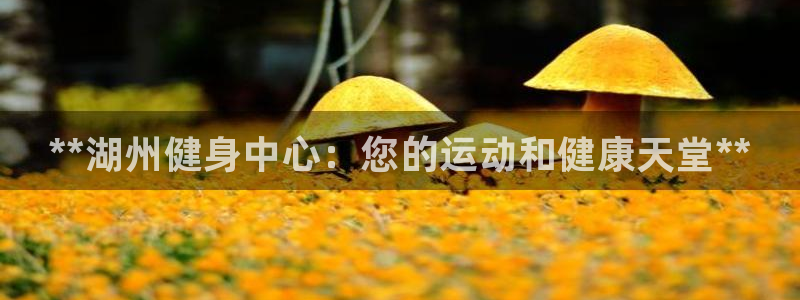 z6尊龙官网：**湖州健身中心：您的运动和健康天堂**