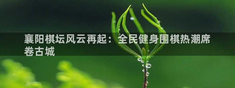 尊龙人生就是博登录网址下载：襄阳棋坛风云再起：全民健身围