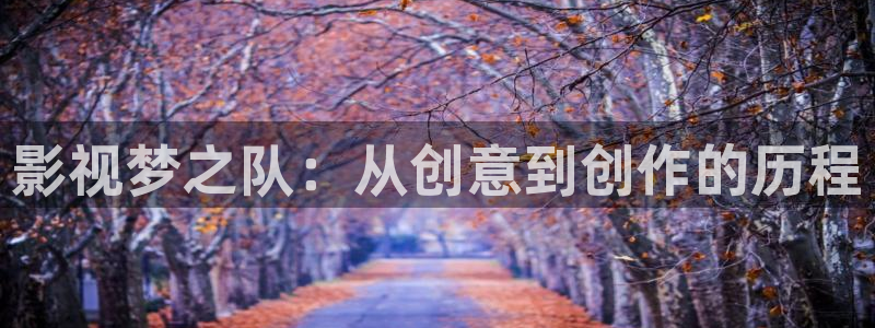 樱桃视频官网app：影视梦之队：从创意到创作的历程