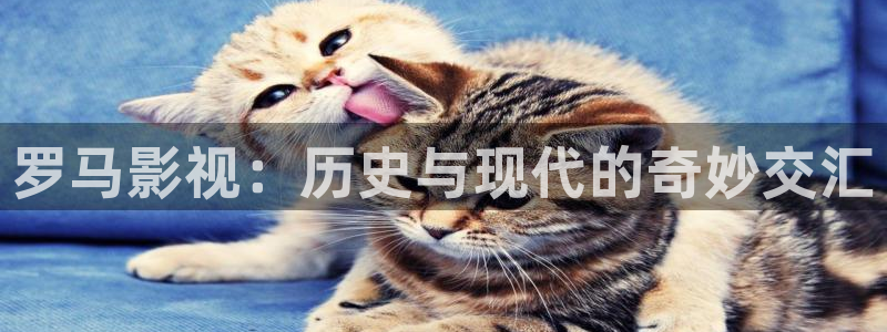 湖北樱桃：罗马影视：历史与现代的奇妙交汇