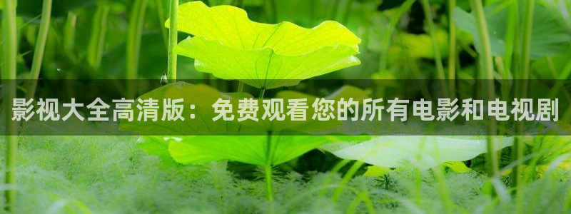 樱桃视频app成人：影视大全高清版：免费观看您的所有电影和电视剧