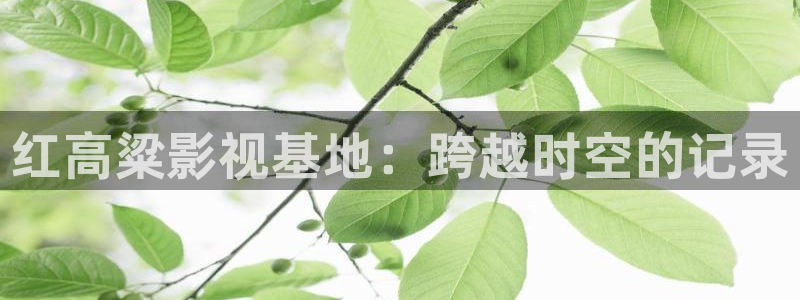 樱桃视频欧美：红高粱影视基地：跨越时空的记录