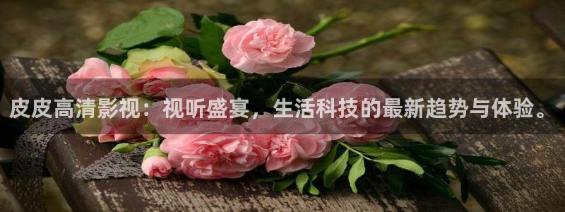 樱桃20：皮皮高清影视：视听盛宴，生活科技的最新趋势与体验。