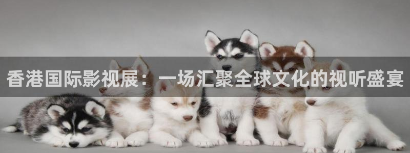 樱桃视频app旧版本：香港国际影视展：一场汇聚全球文化的视听盛宴