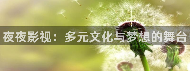 樱桃免费看视频：夜夜影视：多元文化与梦想的舞台
